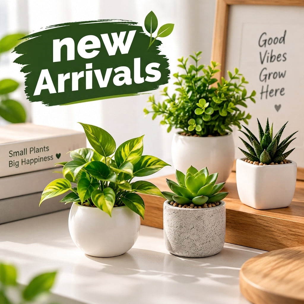 New Arrivals